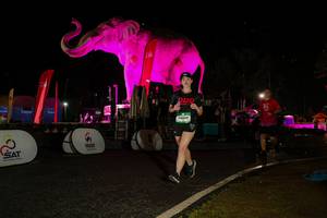 BIB: 
                            <button type="button" onclick="openModal(26534876)" class="btn btn-primary btn-sm float-right btn-popup" data-toggle="modal" data-target=".modal-high-quality">
                        <i class="fas fa-shopping-cart"></i> Add to Cart
                    </button>
                                            <button type="button" onclick="isThisMe(26534876, true)" class="btn btn-success btn-sm float-right btn-popup btn-isme hidden" data-toggle="tooltip" data-placement="bottom" title="นี่คือรูปของคุณใช่ไหม คลิกที่นี่เพื่อเอาเข้าอัลบั้ม">
                        <i class="fas fa-plus"></i> Add to album
                    </button>
                    <button type="button" onclick="isThisMe(26534876, false)" class="btn btn-warning btn-sm float-right btn-popup btn-isnotme hidden">
                        <i class="fas fa-ban"></i> Remove from album
                    </button>